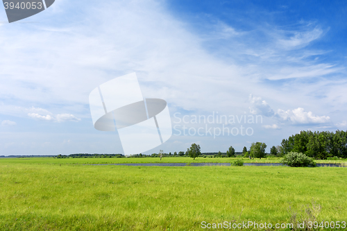 Image of green field background