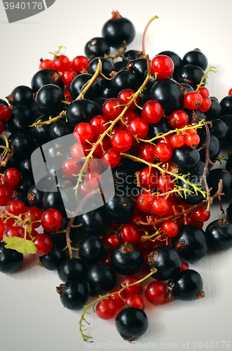 Image of black and red currant berries