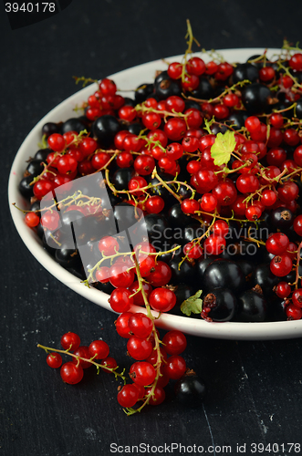 Image of black and red currant berries