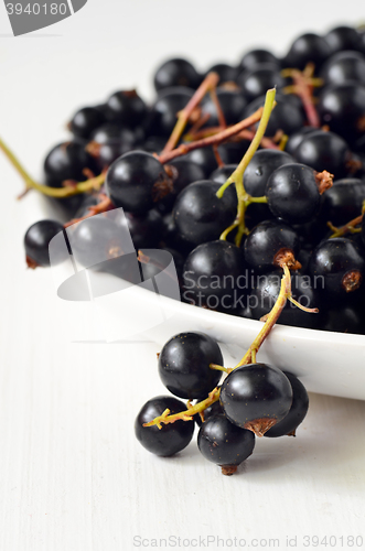 Image of Black Currant berries