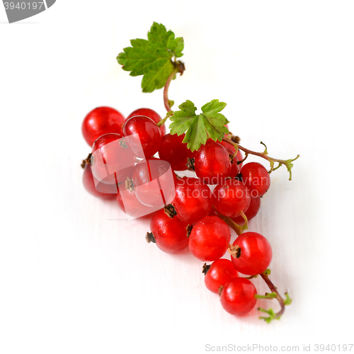 Image of Red Currant berries