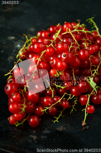 Image of Red Currant berries