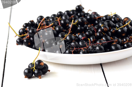 Image of Black Currant berries