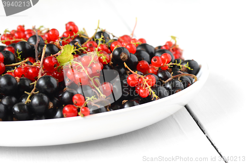 Image of black and red currant berries