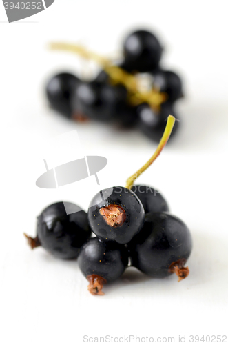 Image of Black Currant berries