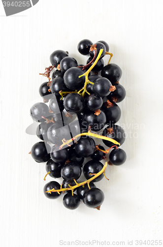 Image of Black Currant berries