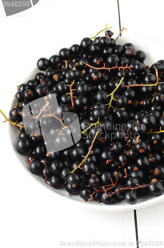 Image of Black Currant berries