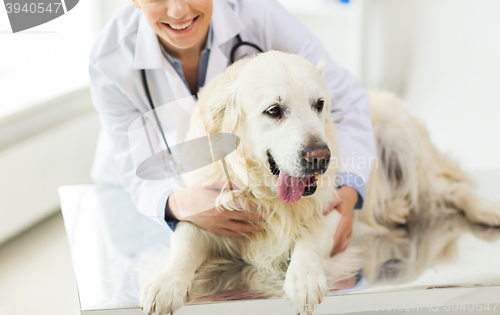 Image of close up of vet with retriever dog at clinic