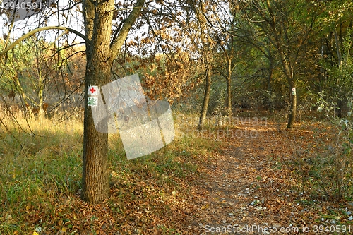Image of Hiking trail signs