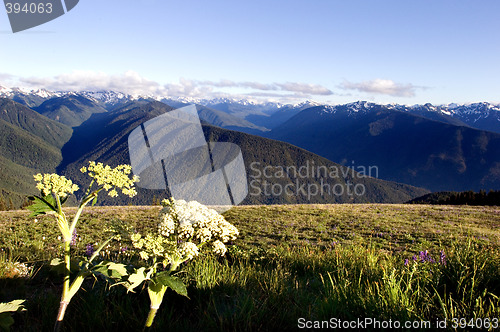 Image of Mountain range