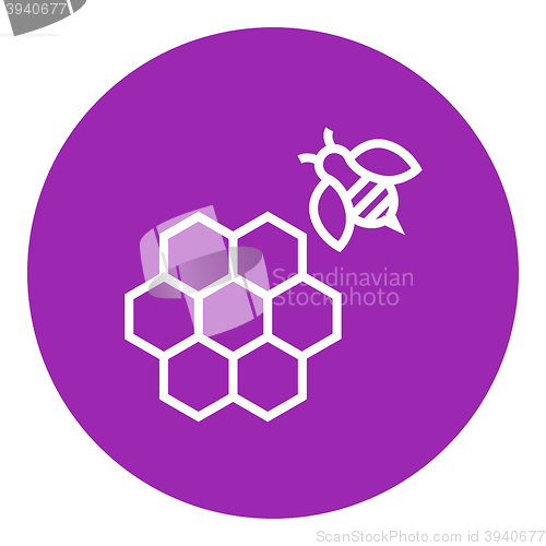 Image of Honeycomb and bee line icon.