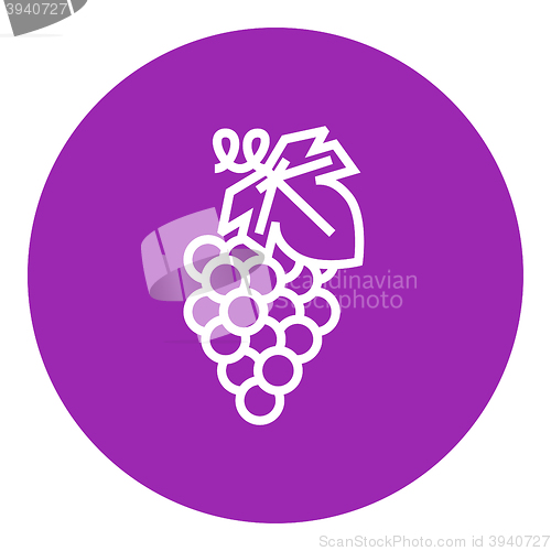 Image of Grape line icon.