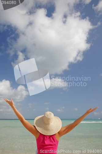 Image of Life is a Beach