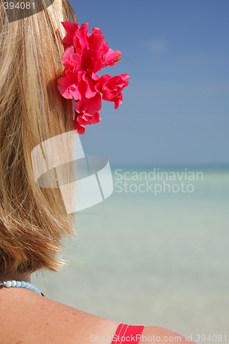 Image of Life is a Beach (Beach)