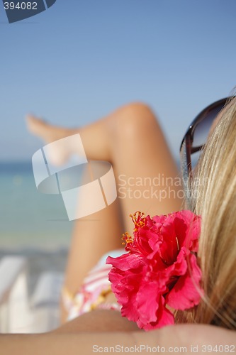 Image of Sunbather