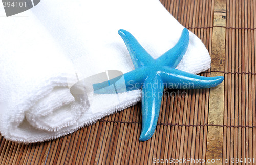 Image of Starfish and towel