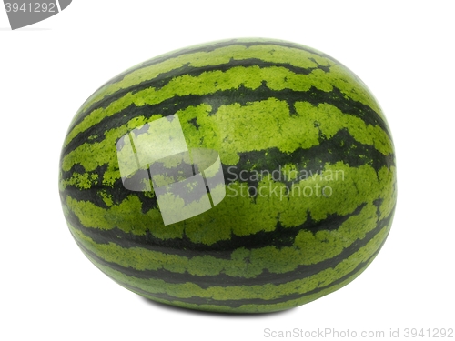 Image of Watermelon on white