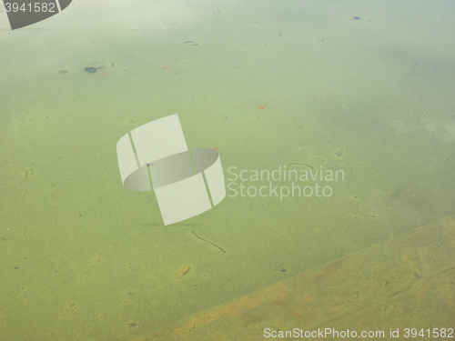 Image of Water texture background