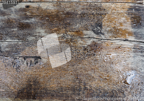 Image of Wood texture background