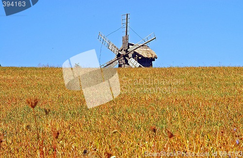 Image of Ukranian field