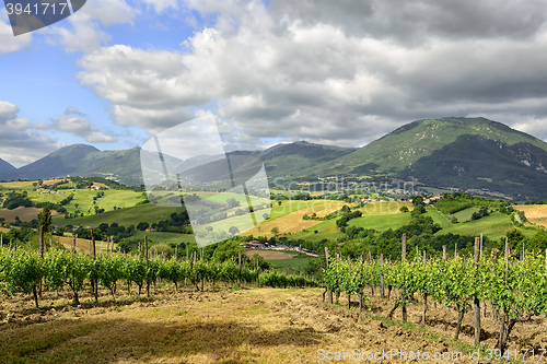 Image of Typical landscape Marche Italy