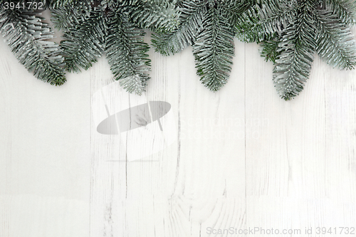 Image of Christmas Spruce Fir Background