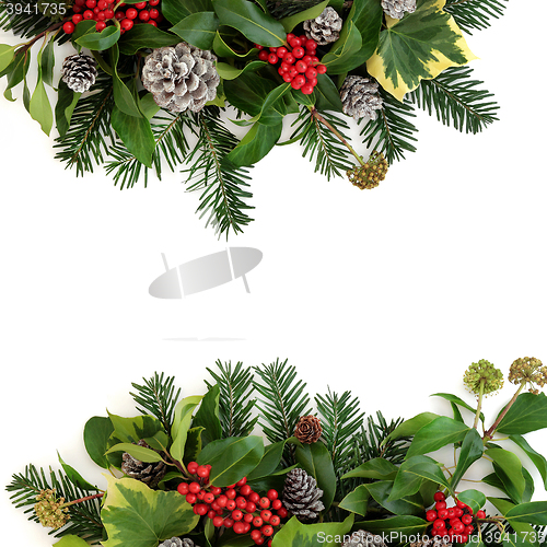 Image of Traditional Winter Floral Border