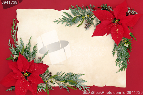 Image of Poinsettia Flower Background Border