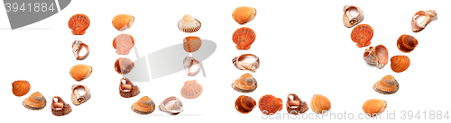 Image of JULY text composed of seashells