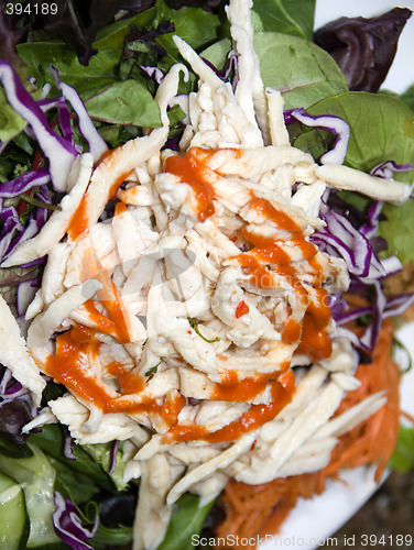 Image of vietnamese food chicken salad