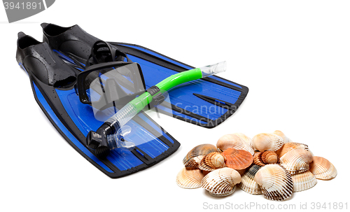 Image of Diving equipment and seashells