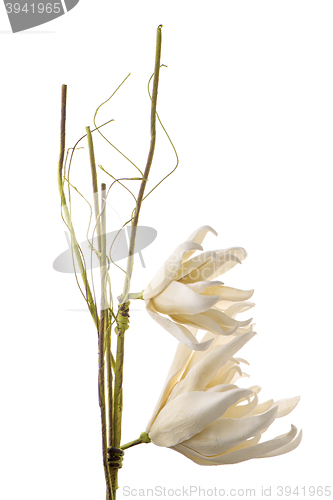 Image of Artificial gardenia flower