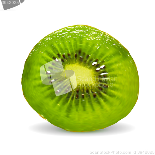Image of Kiwi on a white background. Vector