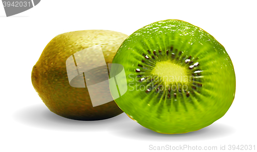 Image of Kiwi on a white background. Vector