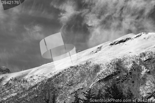 Image of Black and white view on off-piste ski slope