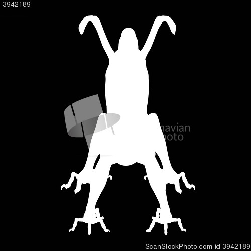 Image of White silhouette of a Chinese dragon on a black background. Full