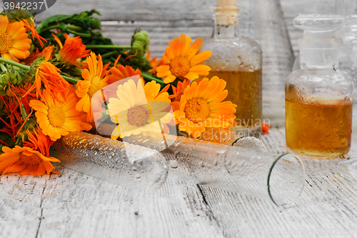 Image of mixture of marigold