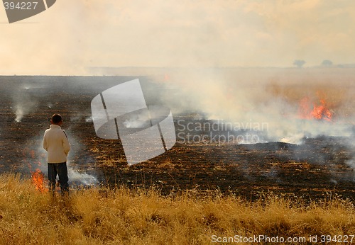 Image of Field On Fire