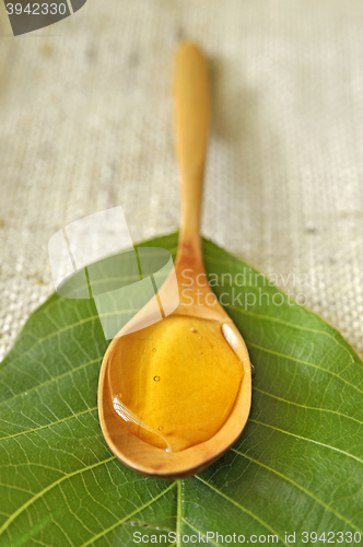 Image of honey in a wooden spoon