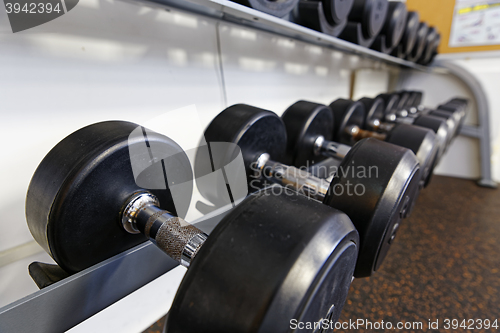 Image of Sports dumbbells