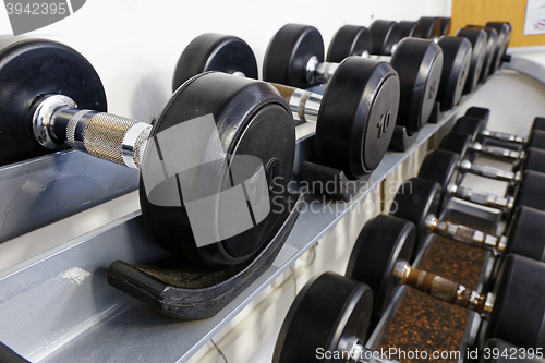 Image of Sports dumbbells