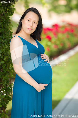 Image of Young Pregnant Chinese Woman Portrait in Park