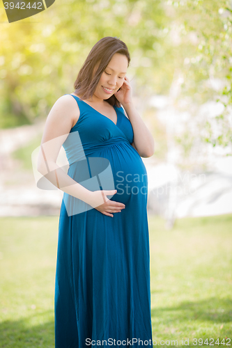 Image of Young Pregnant Chinese Woman Portrait in Park