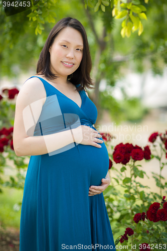 Image of Young Pregnant Chinese Woman Portrait in Park