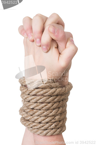 Image of Tied hands, isolated  white