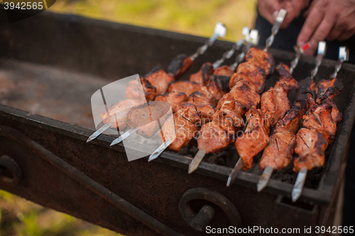 Image of shashlik on a grill