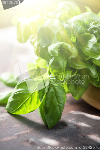 Image of Fresh organic basil