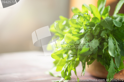 Image of Fresh organic rucola leaves