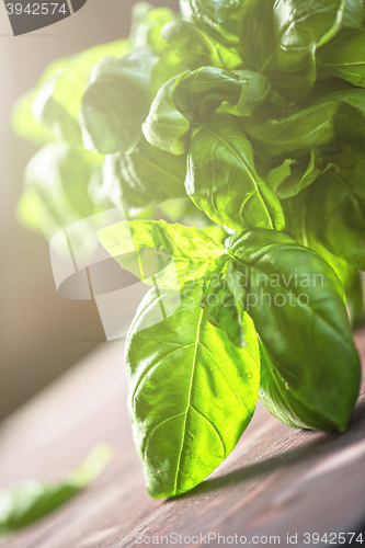 Image of Fresh organic basil