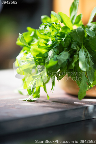 Image of Fresh organic rucola leaves